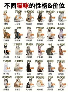 波斯猫与布偶猫（那种品种猫最温顺和可爱）