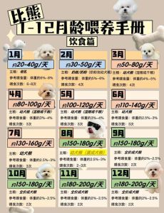 科学喂养半岁小土狗，健康快乐成长（半年的小土狗怎么喂养）