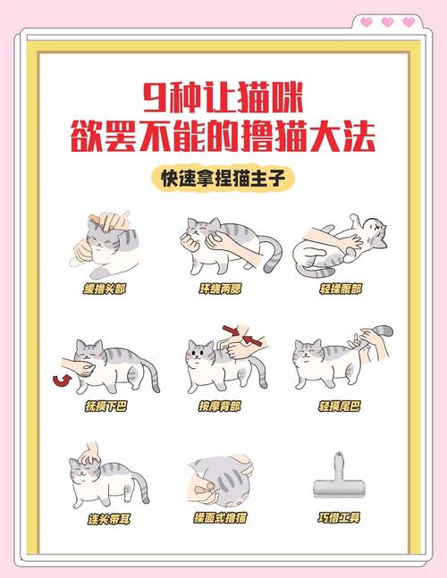 猫最讨厌摸尾巴肉垫肚子（猫咪最讨厌摸哪个部位）