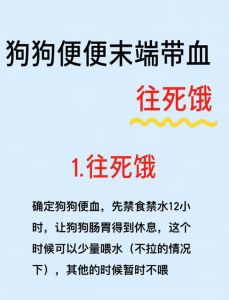 幼犬尿血？速查病因及时治！（四个月小狗狗尿血）