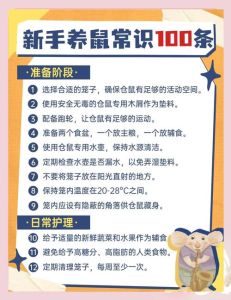 单独养仓鼠好，避免争斗和失控（仓鼠单独养容易死吗）