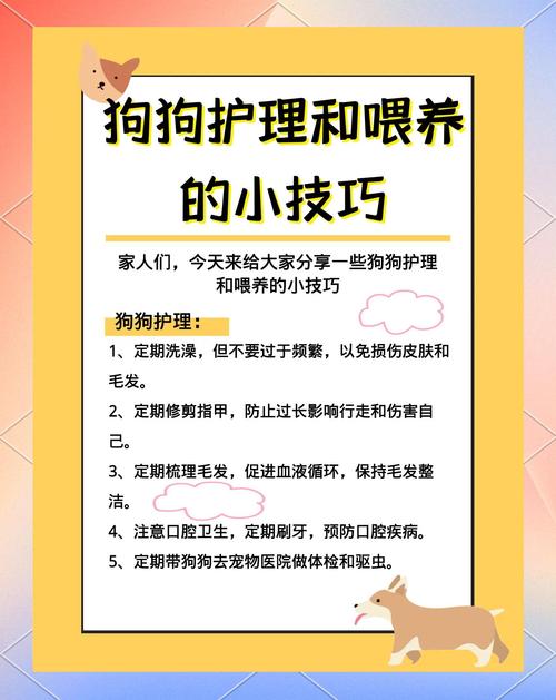 1个月小奶狗脆弱期护理全攻略（一个月小奶狗怎么喂养）