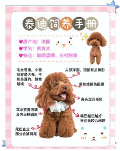 新生犬母乳喂养，无乳用羊奶粉，保暖清洁细观察（出生4天怎么喂养小奶狗）
