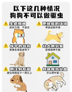 狗狗驱虫要几天？看情况！（狗狗内驱一次要吃几天）