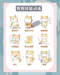 柴犬一周学会定点如厕，妙招分享（狗狗上厕所怎么训练）
