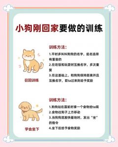 管教狗狗不听话？试试这些科学方法！（狗不听话怎么训要不要打）