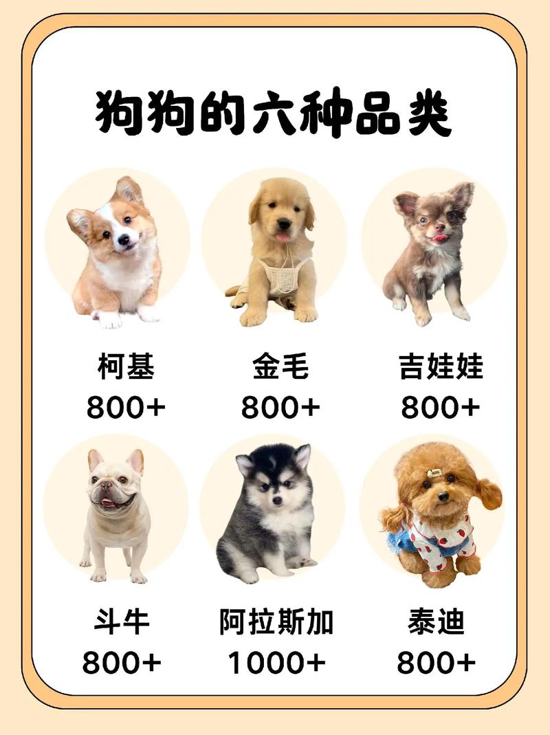 体型性格大不同（狗的品种大全图）