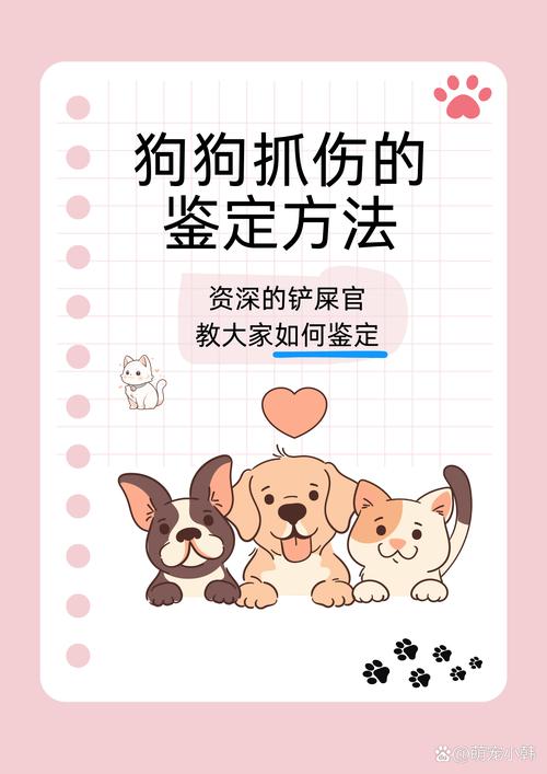 狗狗抓后颈要温柔，指甲长需修剪，抓伤人要消毒，挠身要检查（应该抓小狗狗哪里）