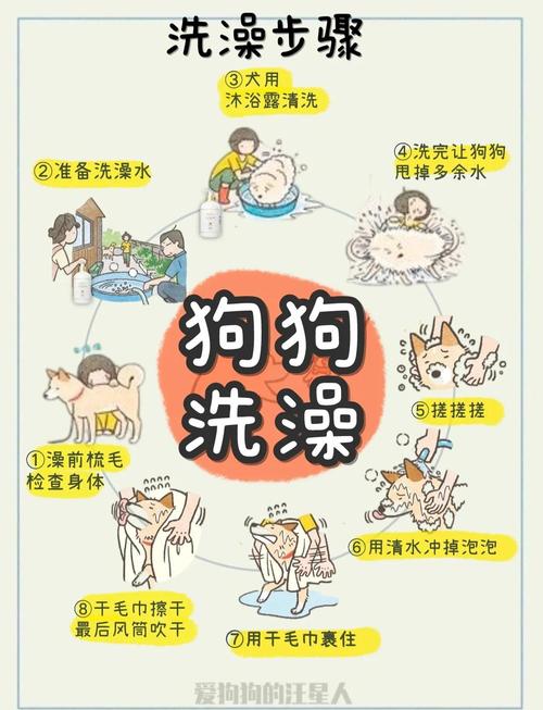 狗狗洗澡咬人怎么办？克服恐惧心理（带狗狗洗澡它呲牙咬主人）