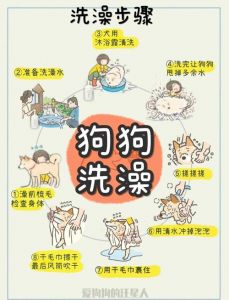 狗狗洗澡咬人怎么办？克服恐惧心理（带狗狗洗澡它呲牙咬主人）