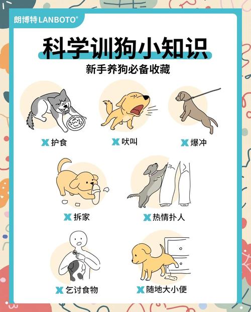 尊重独立，深度连接（怎么把女生训练成小狗）