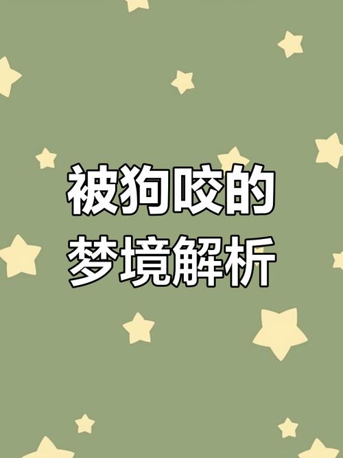 警惕不信任，反思人际关系与自我怀疑（做梦梦见把狗打的只剩一口气了）