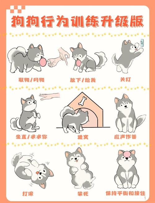 别让她像狗一样听话，健康亲密关系靠真诚尊重（如何训练女生像小狗一样听话）
