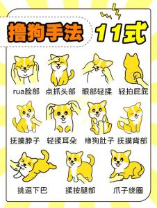 独立女友要黏人？温柔关怀培养亲密，尊重信任是关键（如何给女朋友调成小狗）