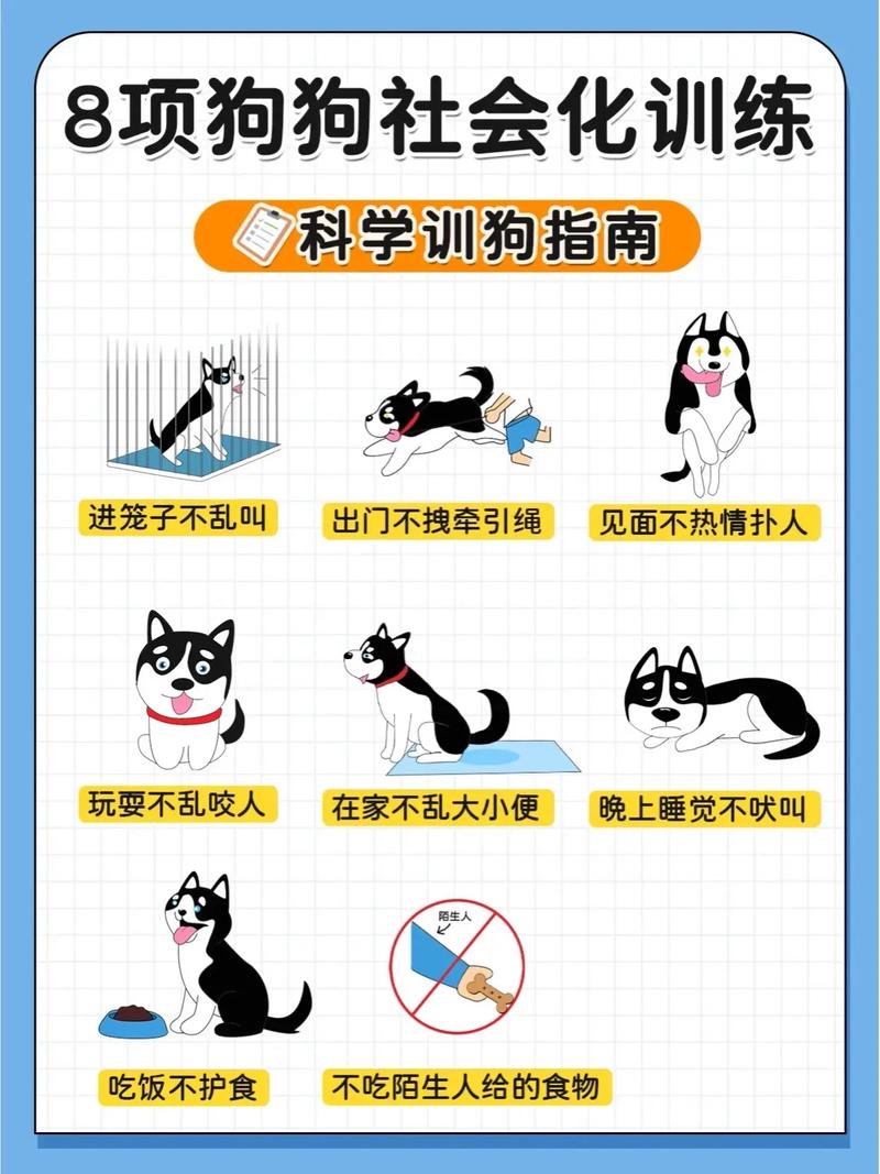 清晰口令+手势，简单有效（训狗口令和手势图解）