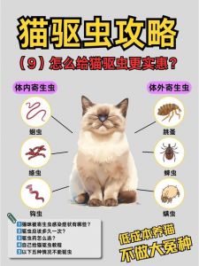 定期给猫咪驱虫，不同年龄和生活的猫频率不同（小猫内驱要多长时间一次）