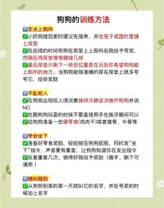 理解独立女性柔软需求，提供独特价值，建立深层情感联结（如何训练女朋友像狗一样听话）