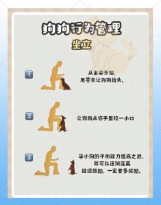 别让她像狗一样听话，健康亲密关系靠真诚尊重（如何训练女生像小狗一样听话）