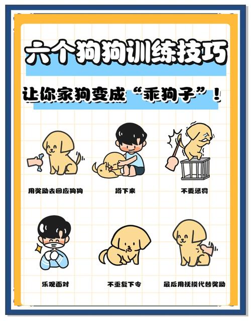 健康互动需平等尊重（女生怎么乖乖给男朋友当小狗）