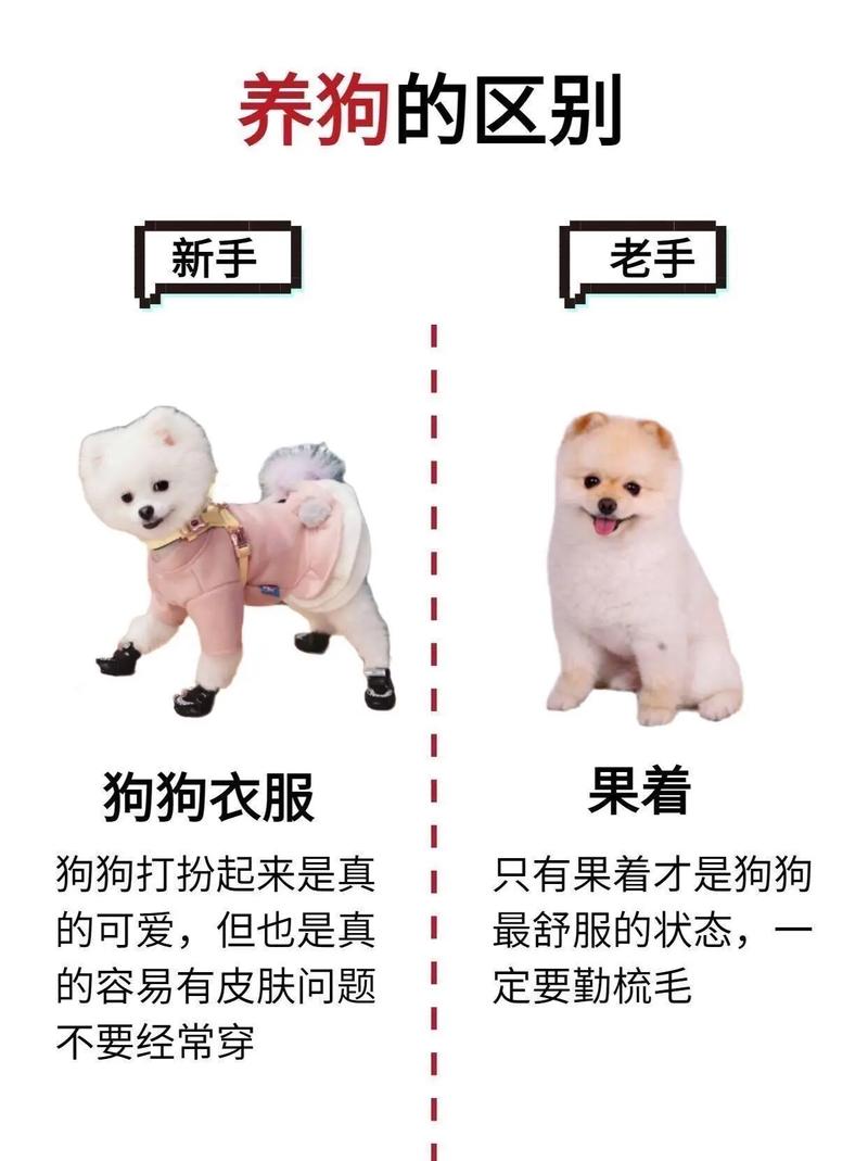新生护理与喂养（母狗驯养指南）
