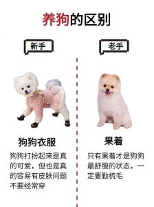 新生护理与喂养（母狗驯养指南）