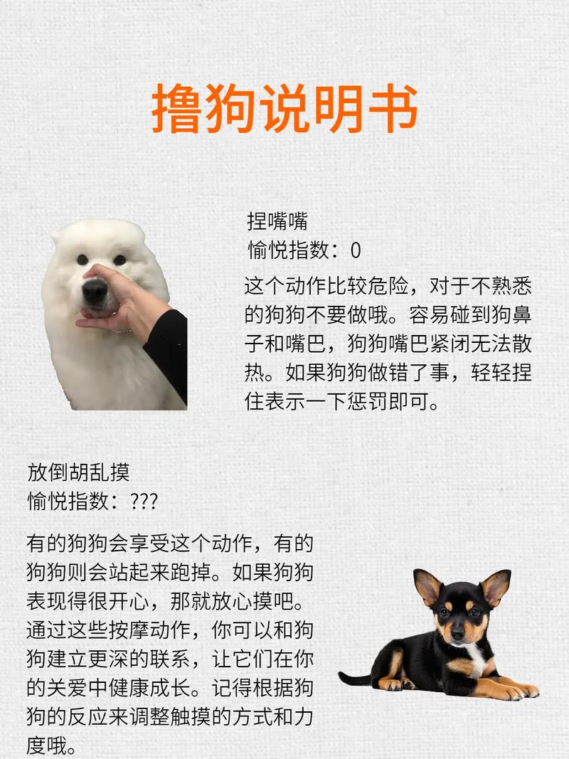 女友爱叫男友小狗，撒娇示爱显亲密（女生怎么乖乖给男朋友当小狗）