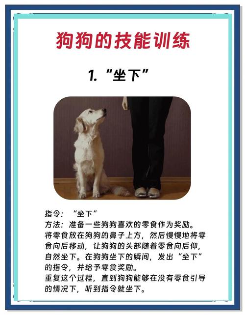 手势口令，养出好习惯增进感情（狗狗训练18个口令手势图解）