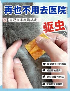 猫咪洗澡后别马上驱虫，需等24-48小时（猫洗完澡能做驱虫吗）