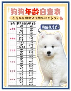 狗狗年龄换算人年龄，因品种体型而异（狗狗19个月相当于人多少岁）