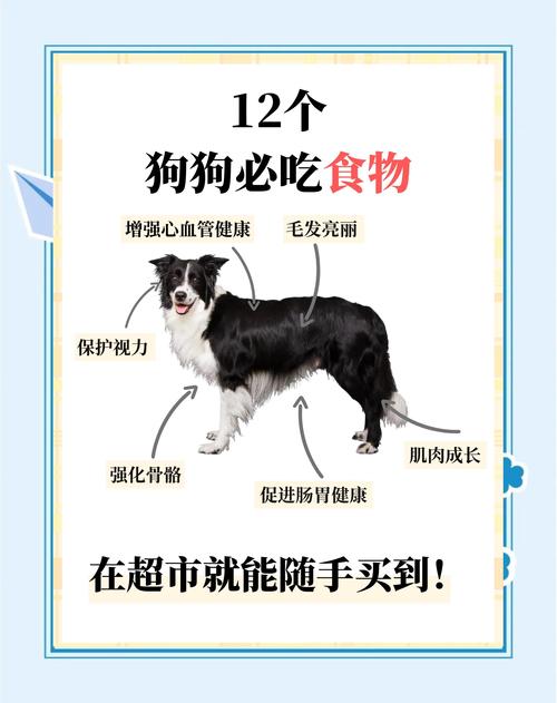 14斤狗狗驱虫，精准喂药半片，选对药定期做！（毅心白崇铩14斤狗狗吃几颗驱虫）