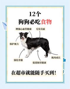 14斤狗狗驱虫，精准喂药半片，选对药定期做！（毅心白崇铩14斤狗狗吃几颗驱虫）