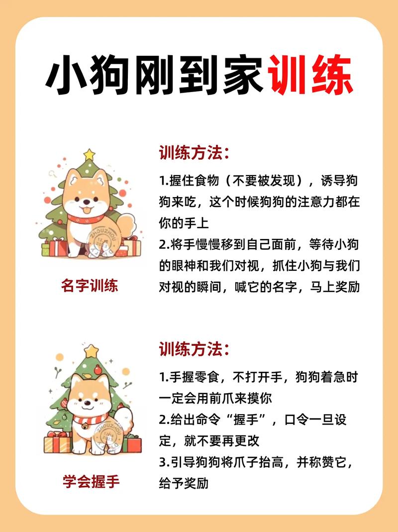 科学手势口令训狗，提升主狗情谊（训狗口令和手势图解教程）