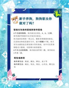 狗狗内外驱虫，选对品牌和剂量很关键！（狗狗体内外驱虫各有什么要求）