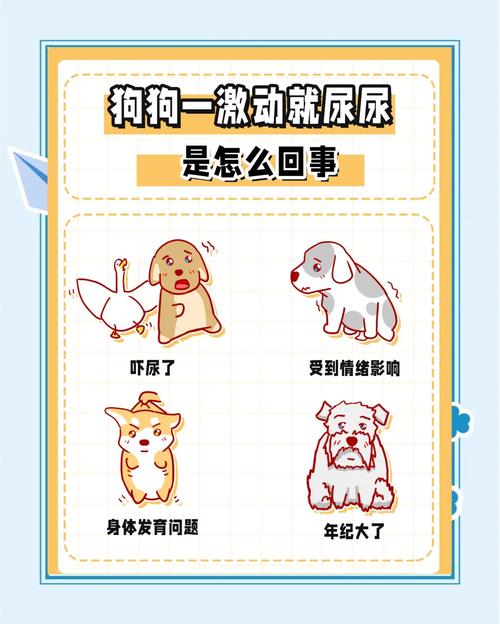 狗狗被摸就尿尿怎么办？（狗狗胆小怕人一摸就尿尿）