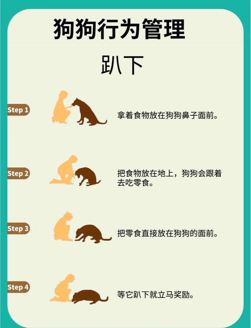 满足情感需求，警惕操控风险（训狗模式为什么对女生有效）
