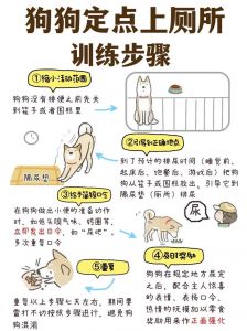 狗狗定点大小便难？耐心训练，固定地点多引导（狗为什么教不会大小便）