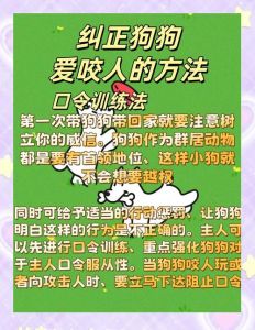 狗狗咬人怎么办？科学矫正与预防（狗狗咬人怎么训）