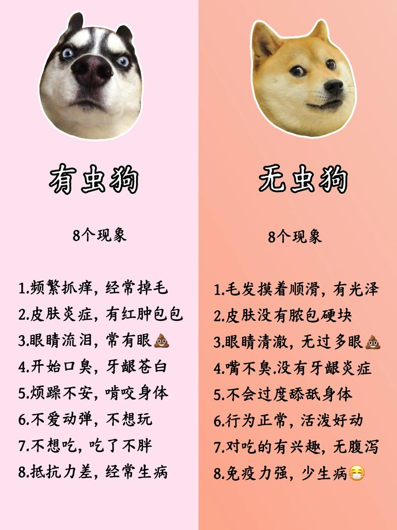 幼犬何时驱虫？科学方案与注意事项（狗狗幼崽多久驱一次虫）