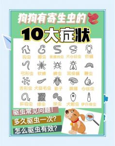 选对狗驱虫药，剂量准，注意禁忌，操作规范（小狗体外驱虫怎么去）