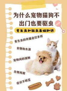 狗狗驱虫看环境个体，幼犬慎用，定期补益生菌（狗狗每个月都要驱虫吗）