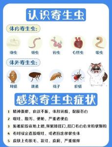 狗狗疫苗期间能驱虫吗？注意间隔！（狗狗疫苗期间可以驱虫吗）