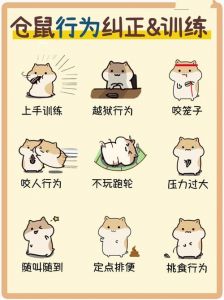 建立信任让伴侣更温顺（如何把人训练成一只听话宠物）