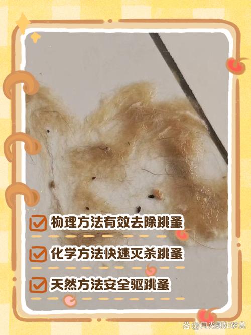 洗澡梳毛环境清洁综合防护（农村的狗多久洗一次不会有跳蚤）