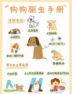 驱虫后立即喂食？幼犬注意！（狗狗体外驱虫要禁食多长时间）
