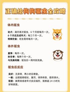 狗狗多久驱虫？体重健康灵活定！（两个半月小狗多长时间体内外驱虫）