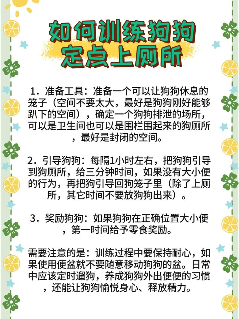 气味引导，及时奖励（怎么训练博美狗如厕）