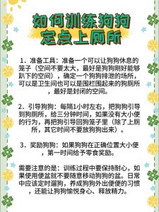 气味引导，及时奖励（怎么训练博美狗如厕）