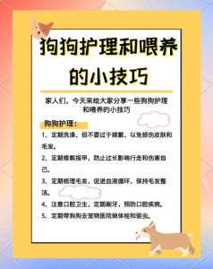 狗狗生产后怎么护理（狗狗生产后注意事项）
