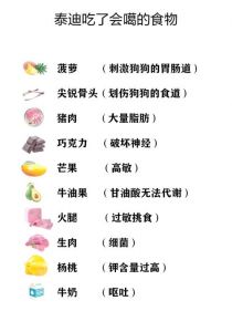 狗狗不爱吃饭怎么办？原因与解决方法（狗狗只吃手里的食不吃碗里的食）