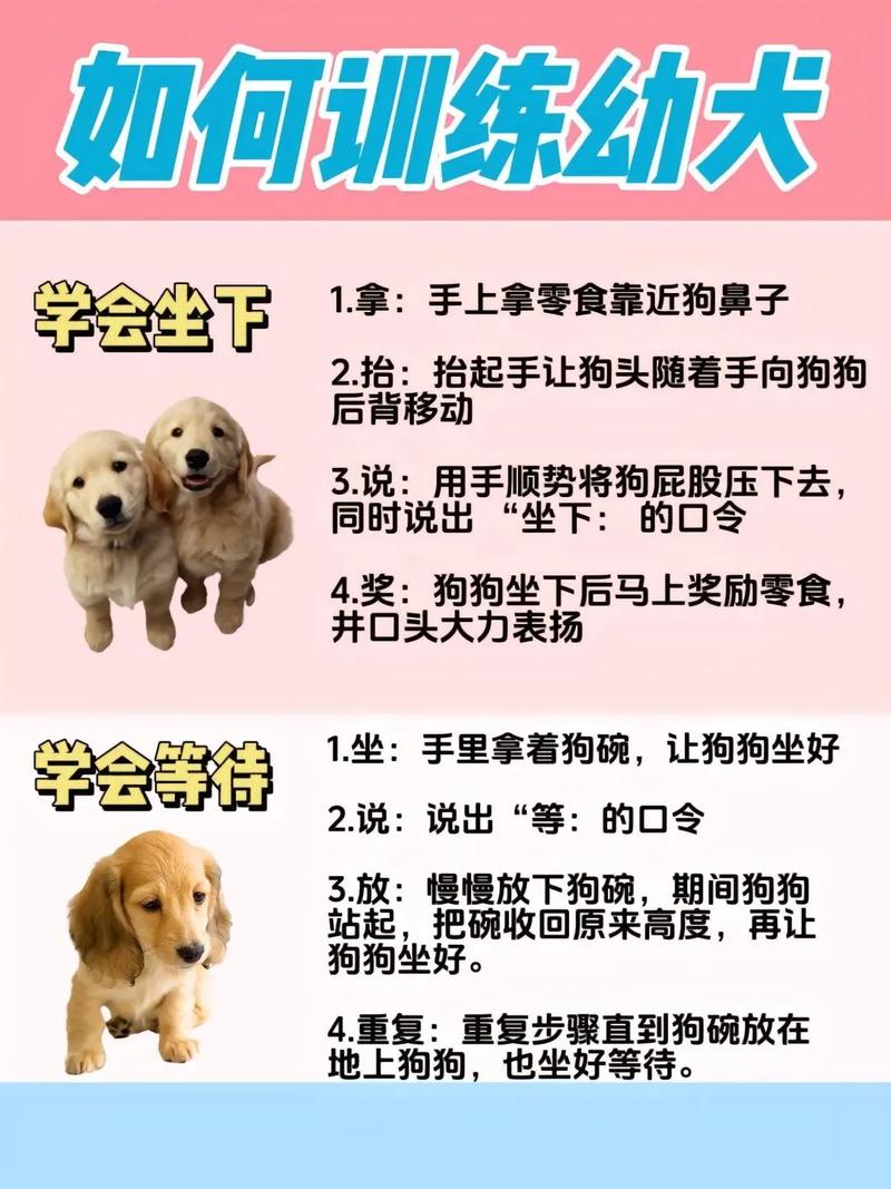 驯服或迷失？（怎么把小女朋友训成小狗）